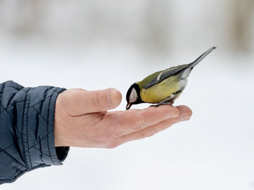 Photograph by Anna Levina