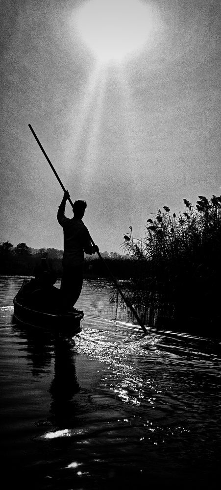 Фотография автора BIBEK chettri