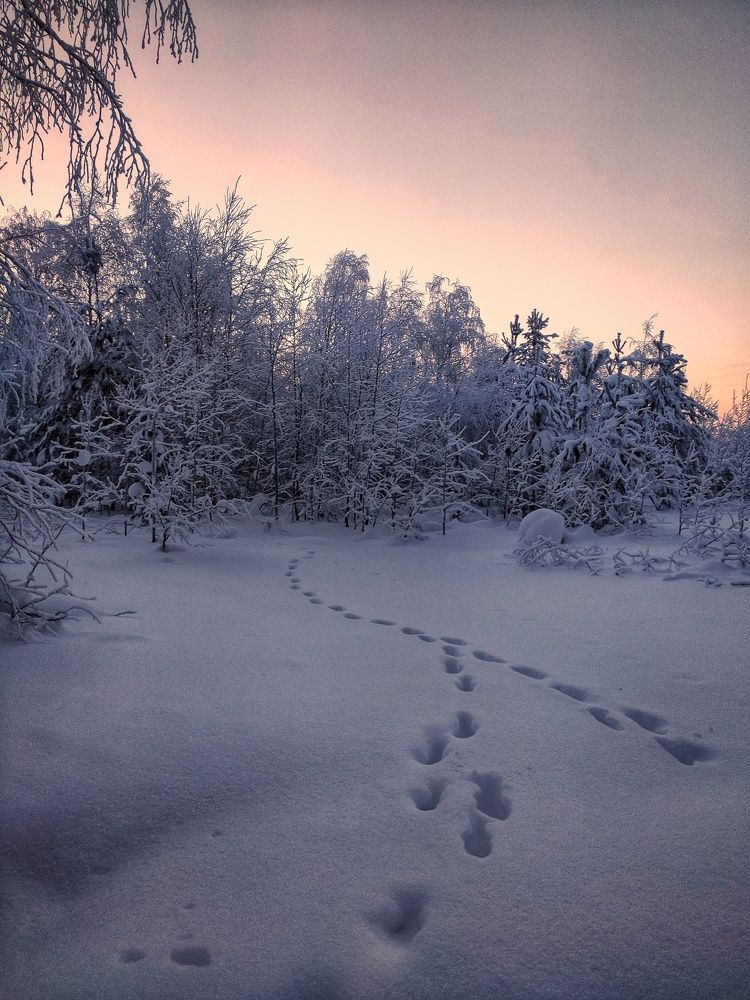 Photograph by Оксана Радзиевская