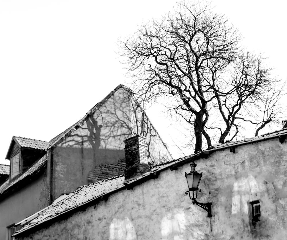 Photograph by Gennadiy Slezkin