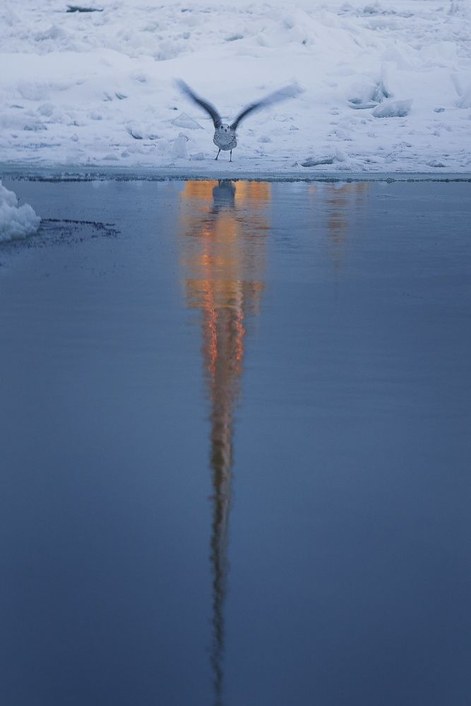 Расправить крылья…