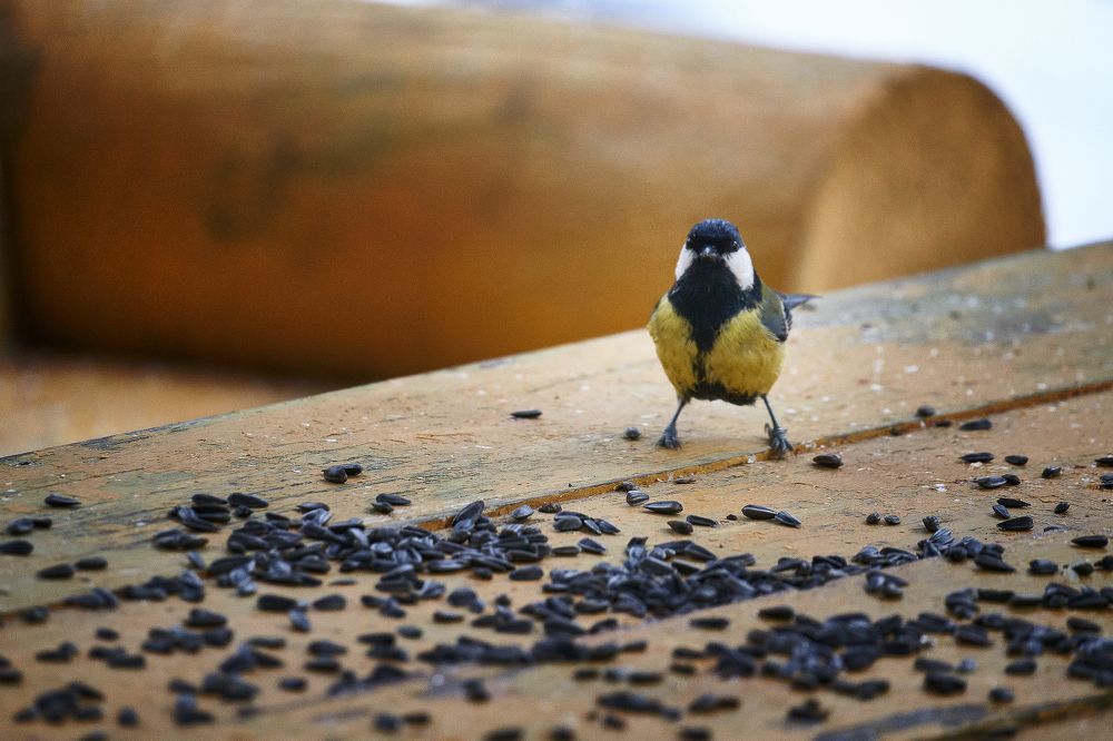 Попробуй отними…