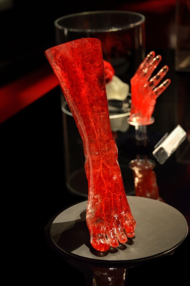 Photograph by arkadii Anufriev