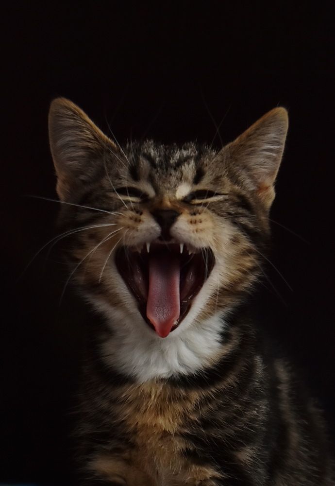 Photograph by Роман Пацкевич