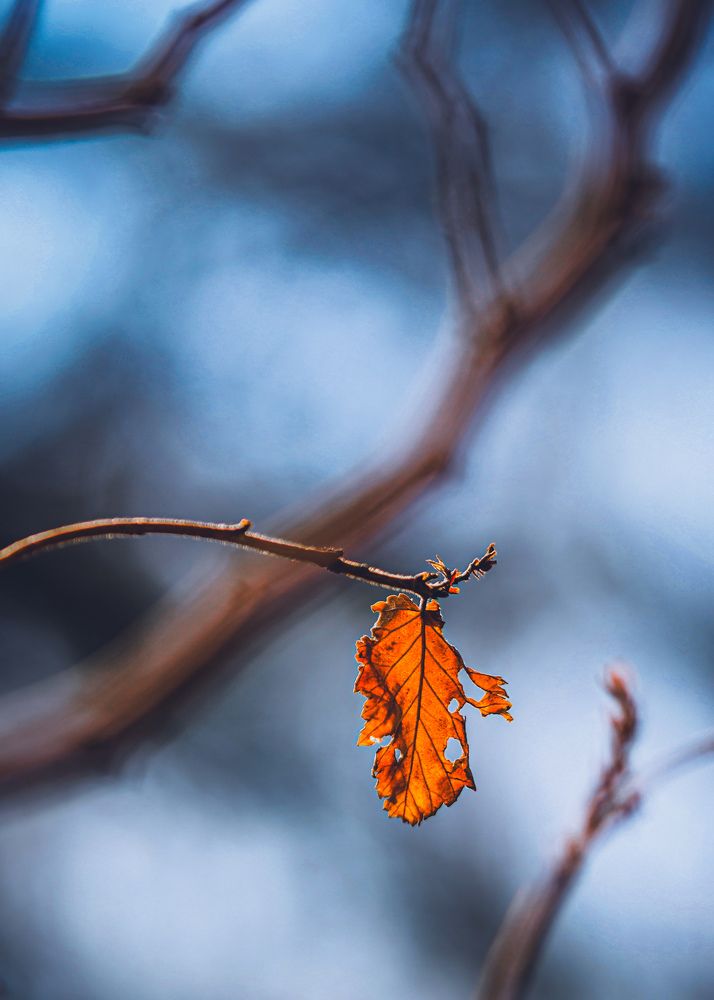 Photograph by kamran shirani