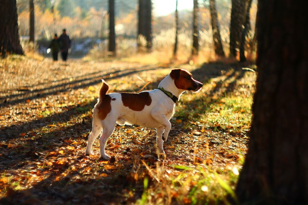 Photograph by Леонид Уральский