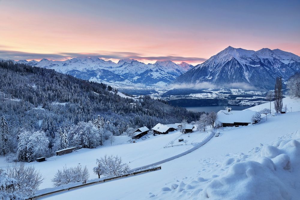 Photograph by Wymann Elena