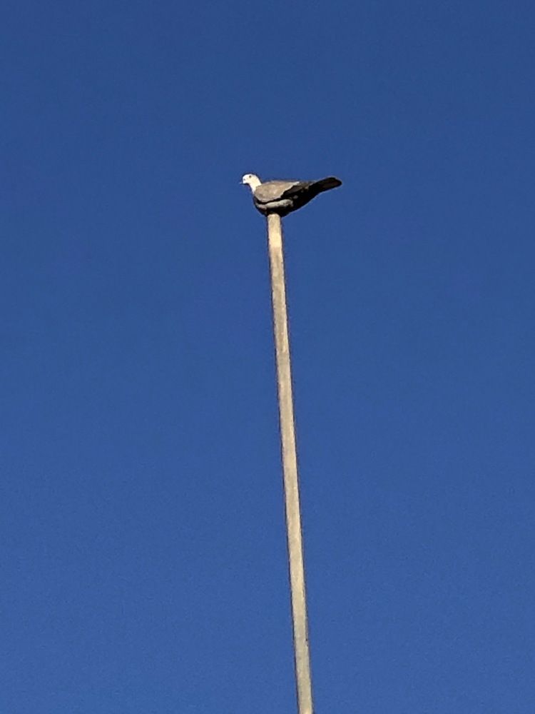 Photograph by Abdellatif Jellab