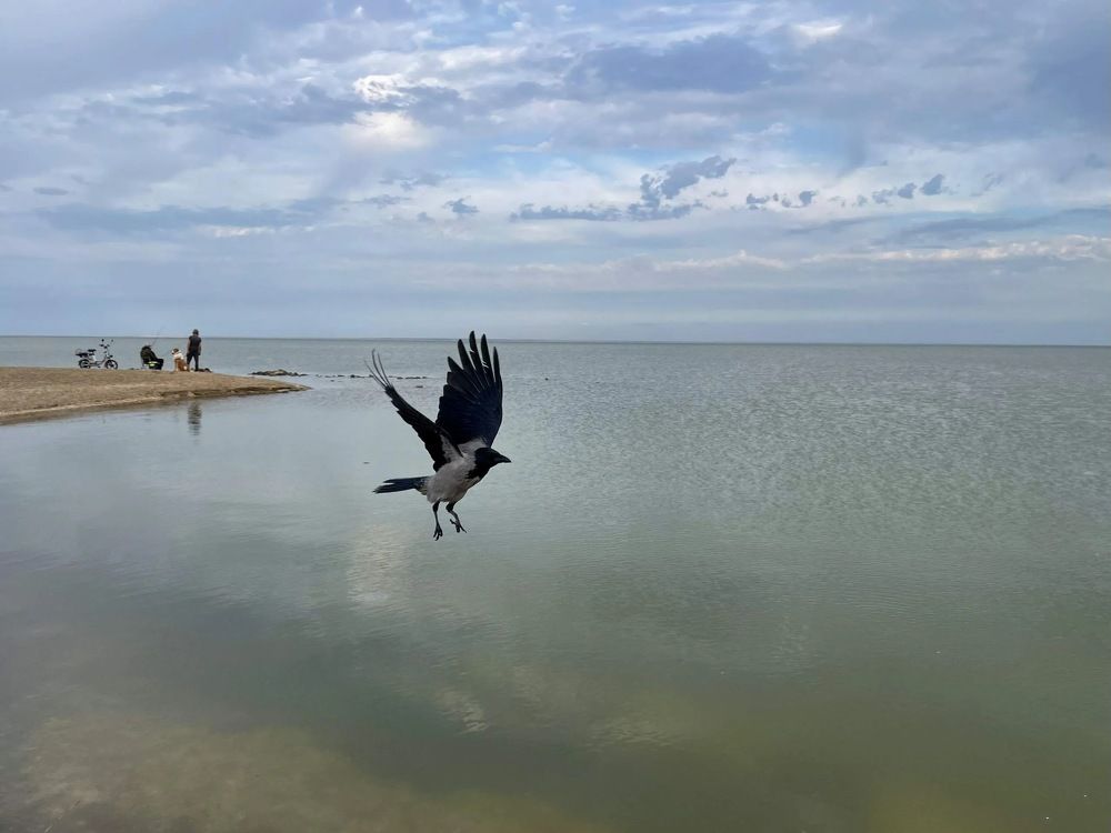 Photograph by Лена Суворова