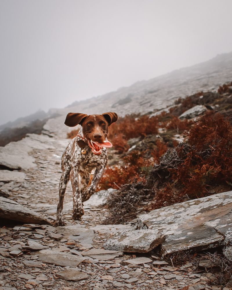 Photograph by Alexandra Sergeeva