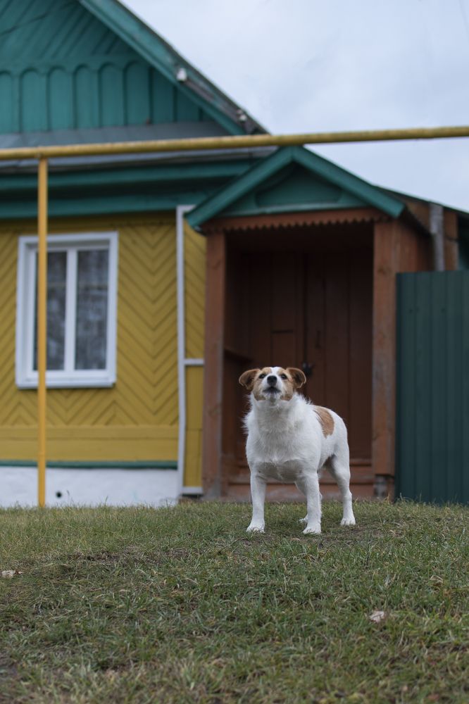 Photograph by Павел Соснин