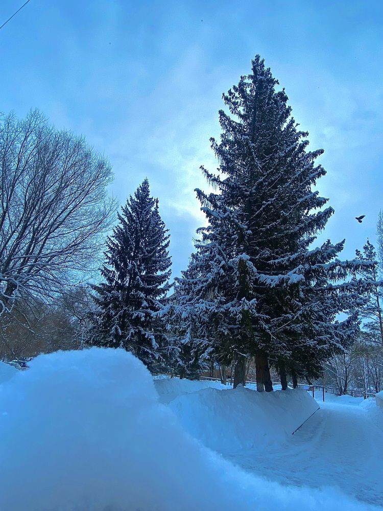 Photograph by Rabiana