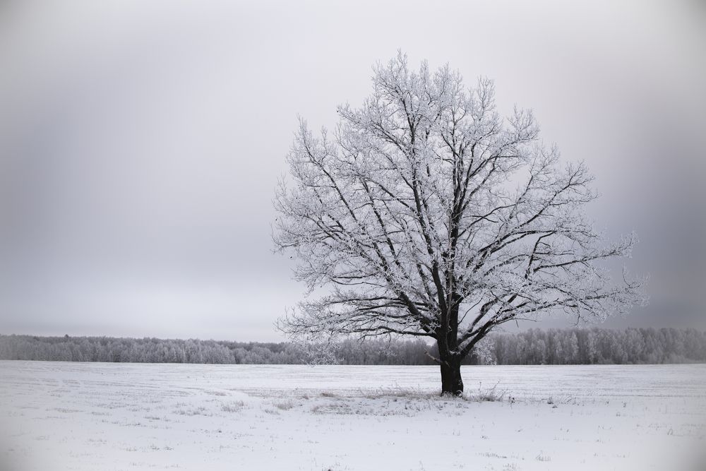 Одиночество