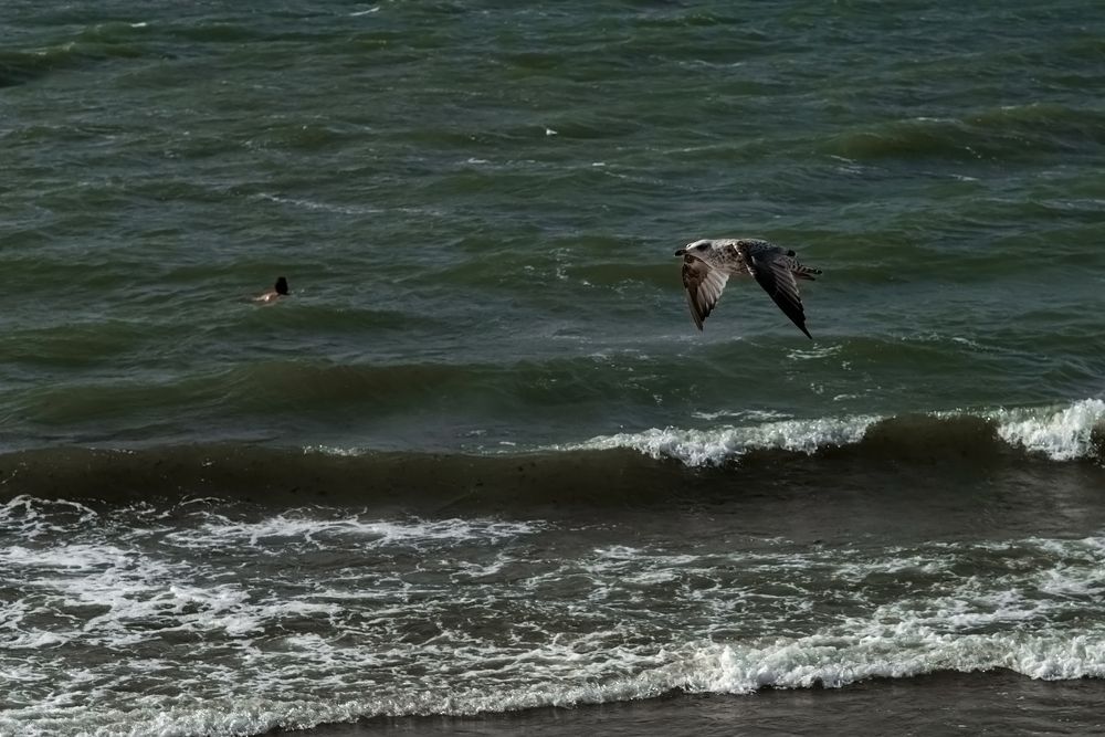 Photograph by Маргарита Матвеенкова