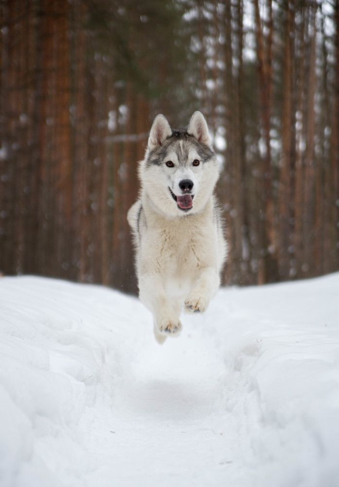 Прогулка по пути к дому