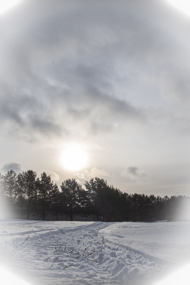 Photograph by Павел Соснин