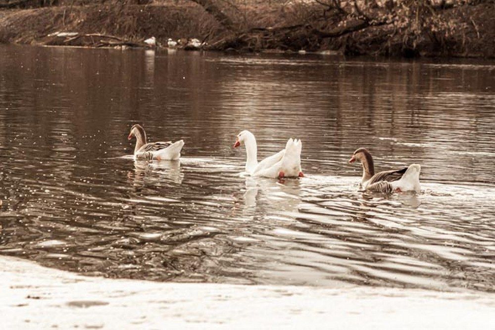 Фотография автора Виталий Дузь