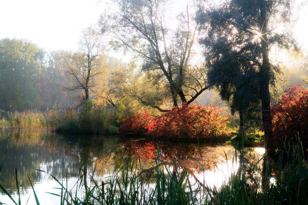 Photograph by Евгений Медведев