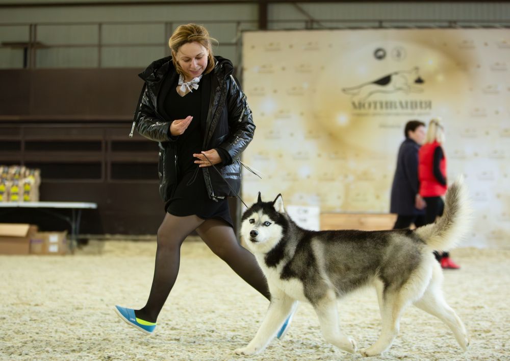 Photograph by Антон Рудской