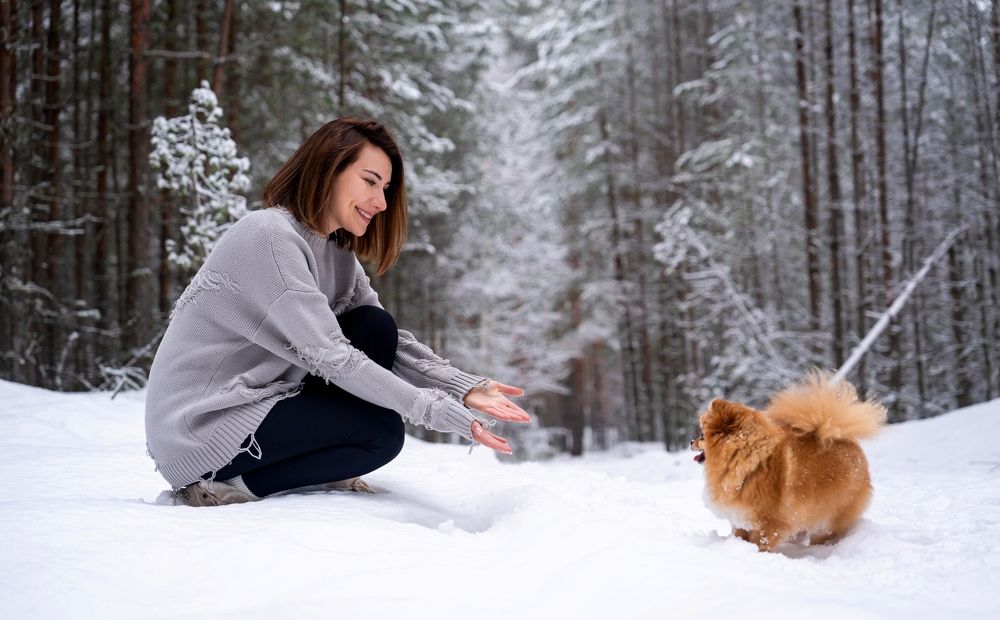 Photograph by Дмитрий Спорышев