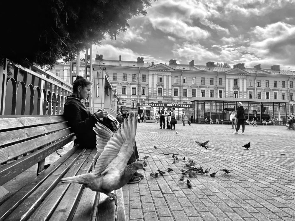 Photograph by Лена Суворова