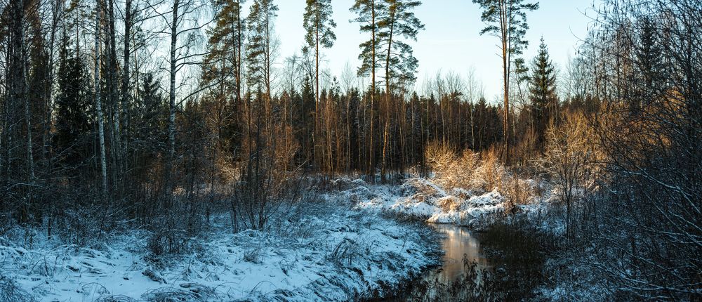Фотография автора Aлексей Игнатьев