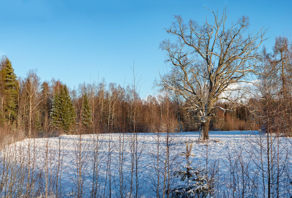 Фотография автора Aлексей Игнатьев