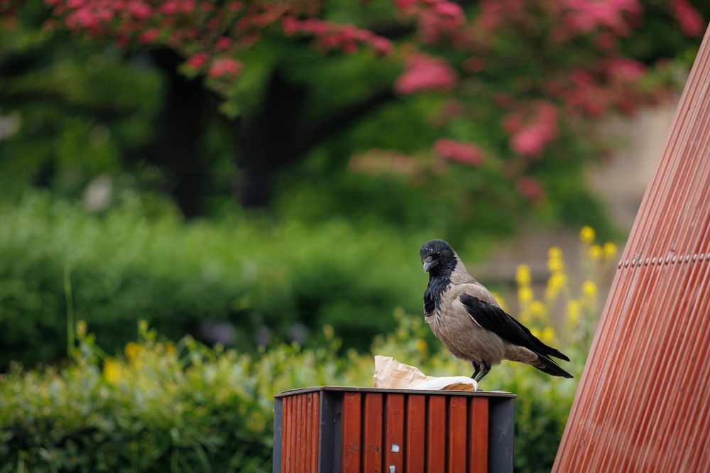 Photograph by Яна Нарбутович