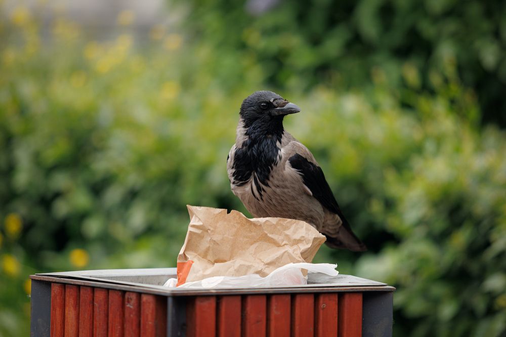 Photograph by Яна Нарбутович