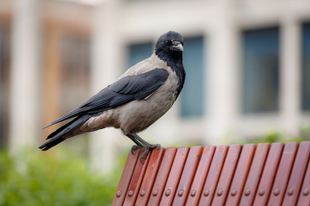 Photograph by Яна Нарбутович