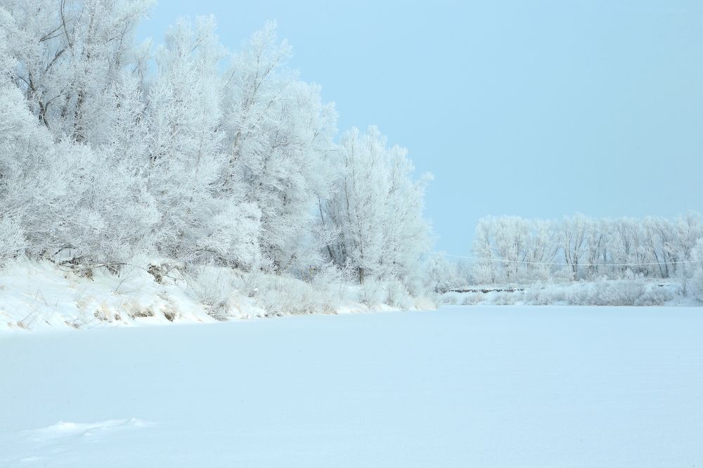 Photograph by Евгений Медведев