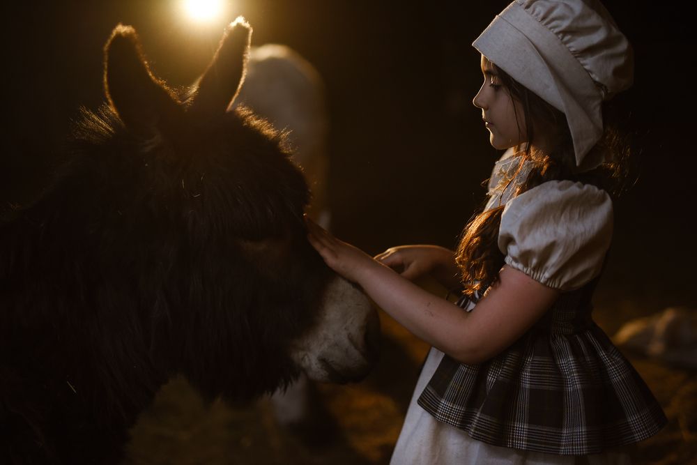 Девочка и ослик