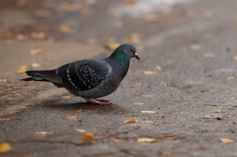 Photograph by Яна Нарбутович