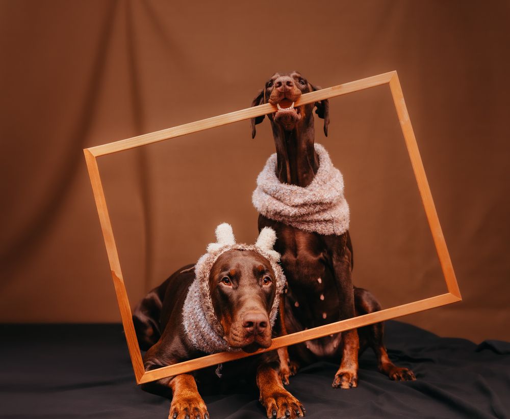 Photograph by Мария Клещенко