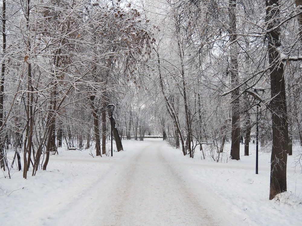 Photograph by Олег