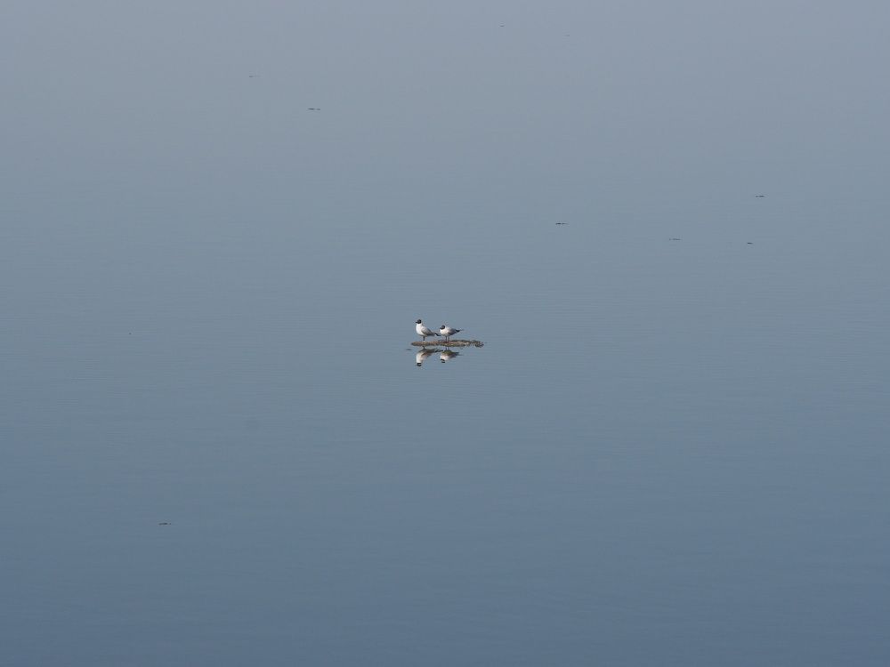 Photograph by Олег