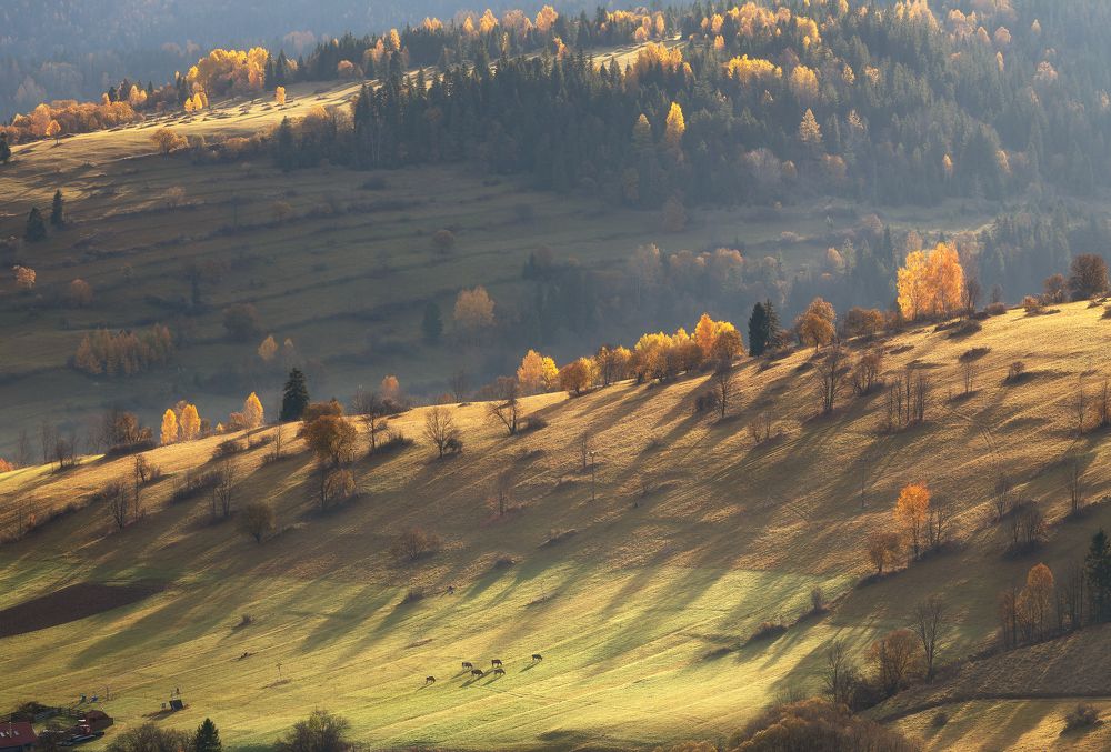 Photograph by Матюшенков Евгений