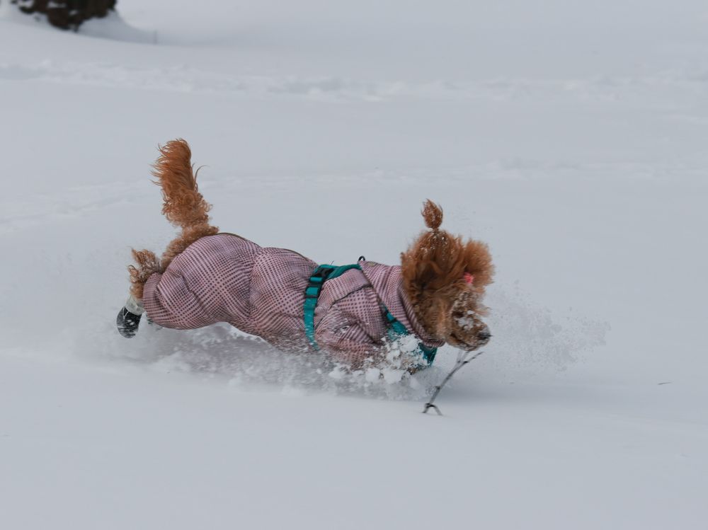 Photograph by Людмила Казак
