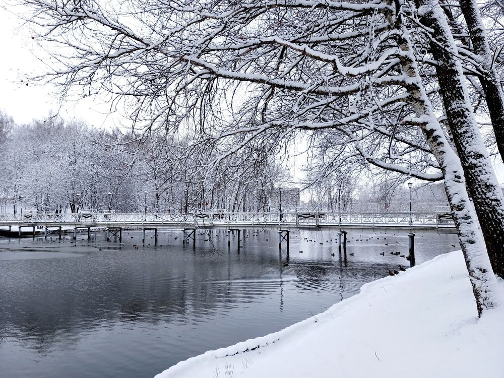 Photograph by Ольга Юрченко