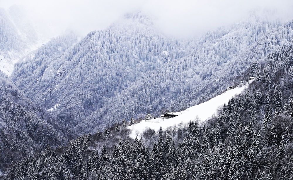 Photograph by Esin Sağır