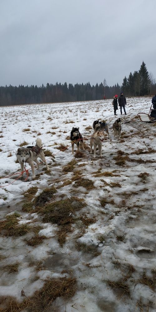 Photograph by Ольга Мольдон