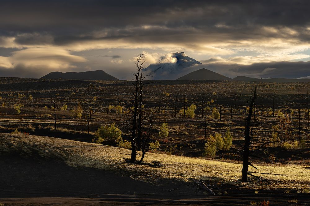 Photograph by Елена Вторушина