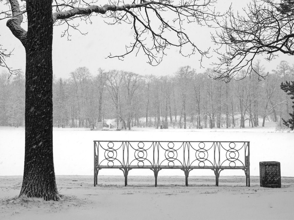 Photograph by Андрей Панин