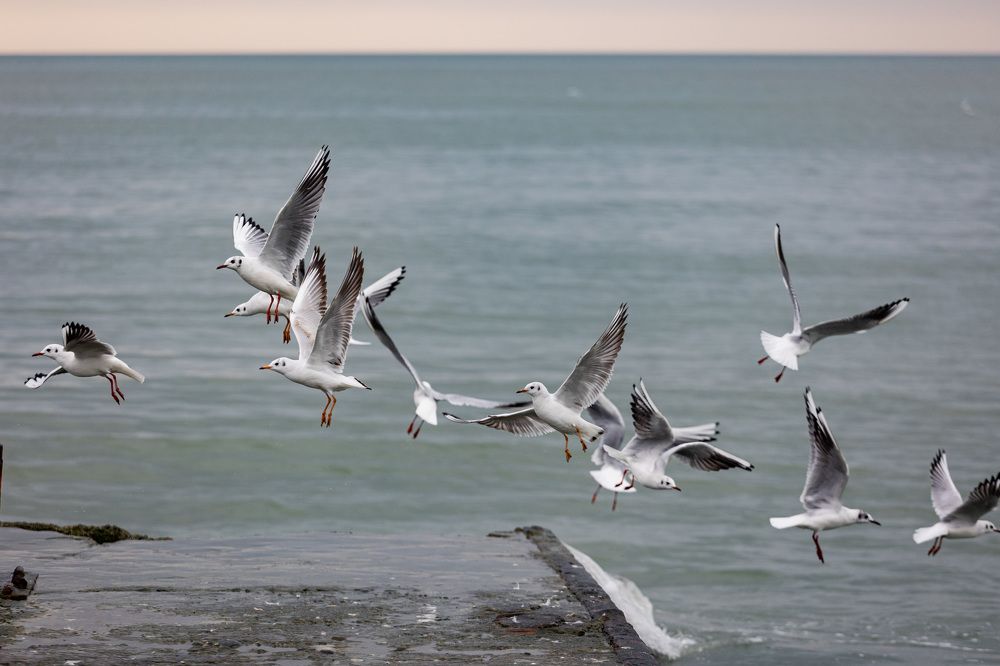 Фотография автора Fallen Angel