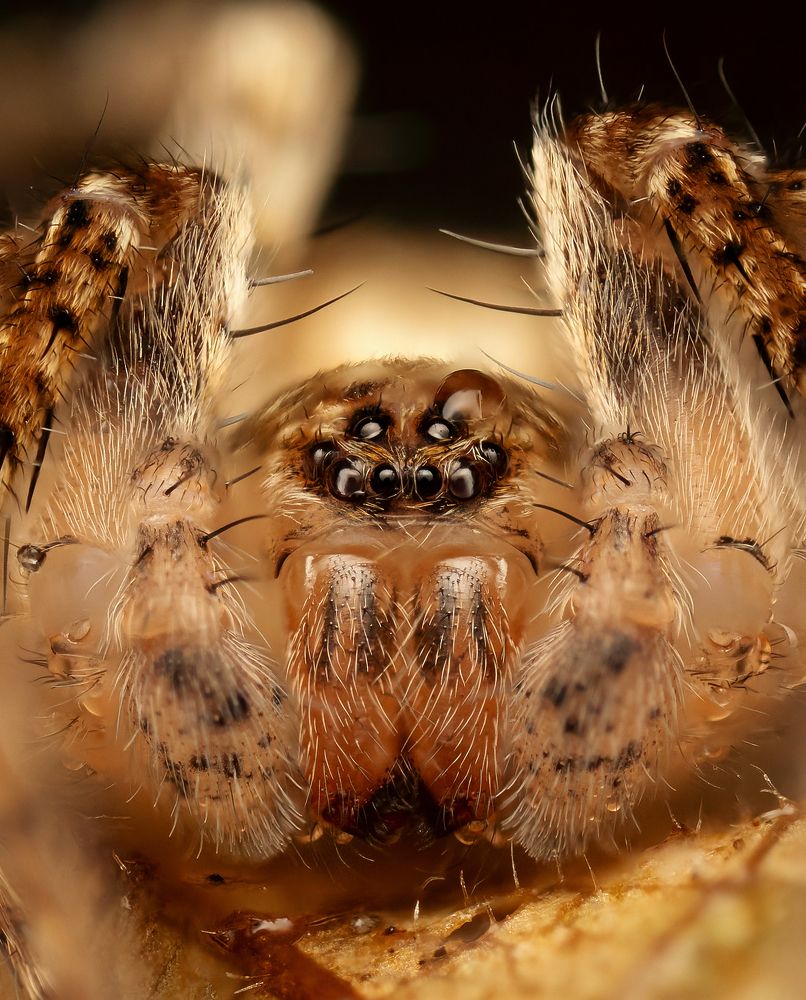 Photograph by Sergio Gomez Dominguez