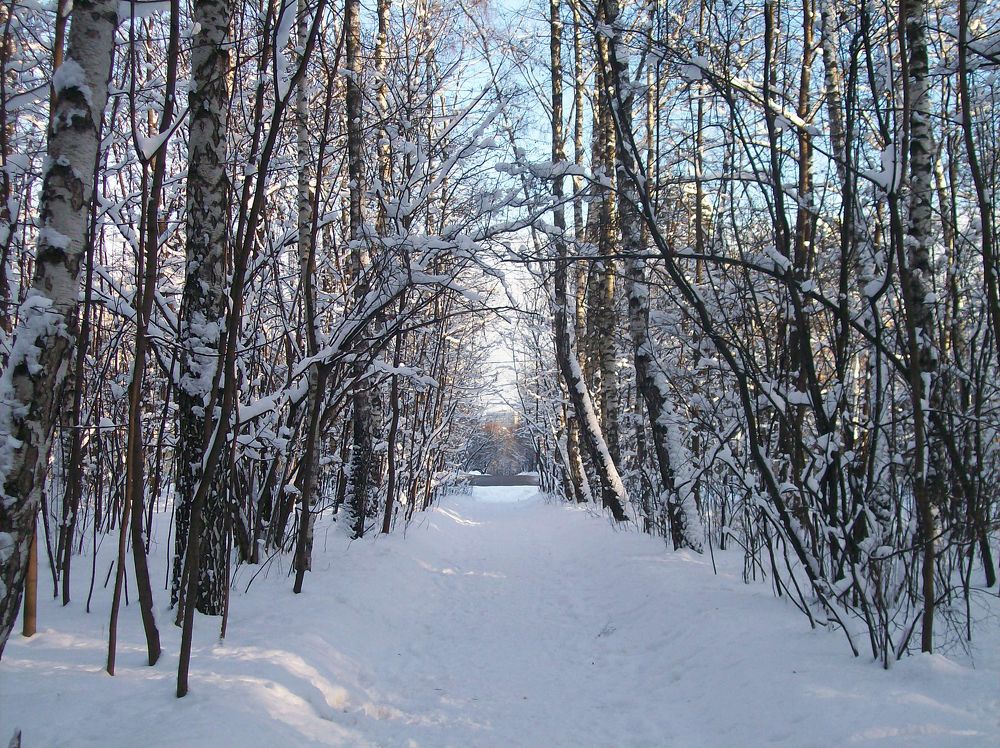 Photograph by Хвостов владимир Владимирович