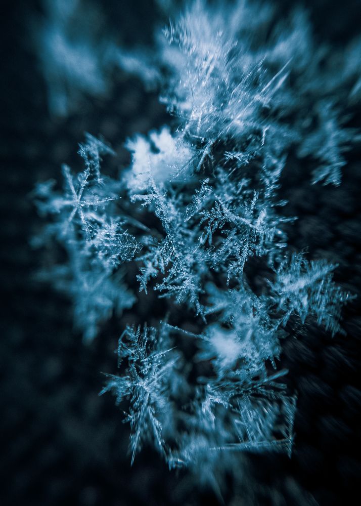 Photograph by Алексей Крукович