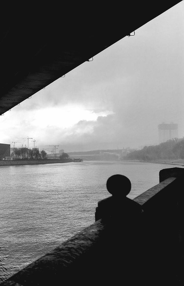 Photo #11771137