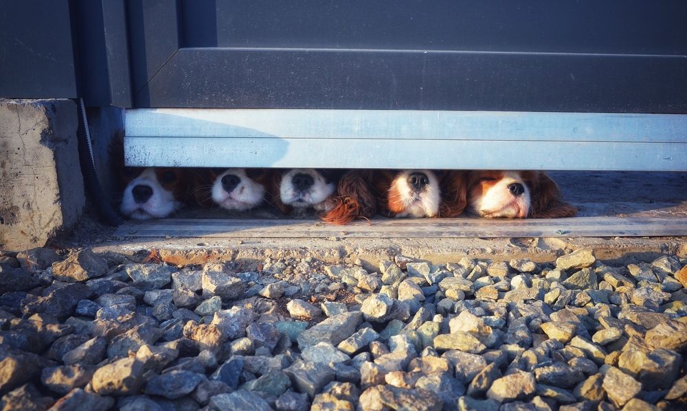 Photograph by Артемий