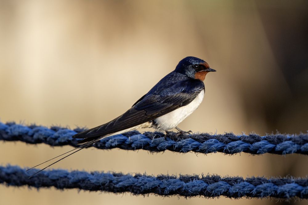 Photograph by Кулаков Юрий